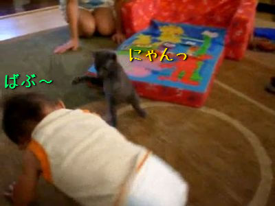 �֤��������ǭ