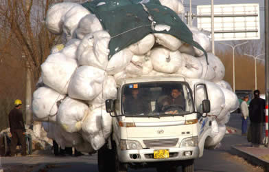 無茶な荷物02