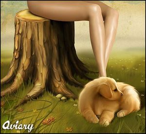 ��������ʤ鸤�������Ф�������ʤ�02