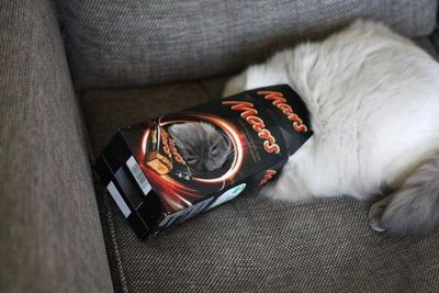 ����������ꤿ����ǭ04