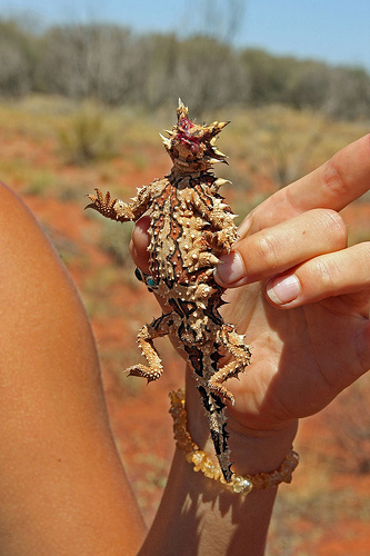 ������ȥ���07