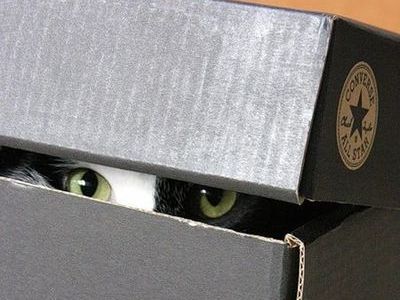 ����������ꤿ����ǭ01