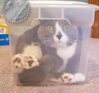 ����������ꤿ����ǭ13