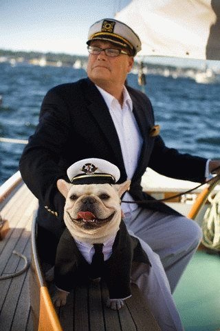 ������ȸ�