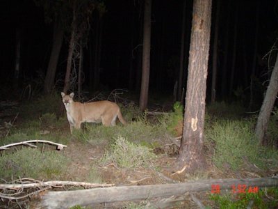 �ŰǤǤϲ����Ҥ���Ǥ��뤫�狼��ʤ�02