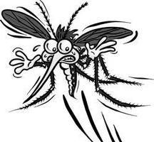 動物の意外な秘密05