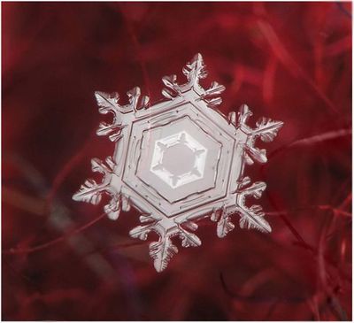 雪の結晶18