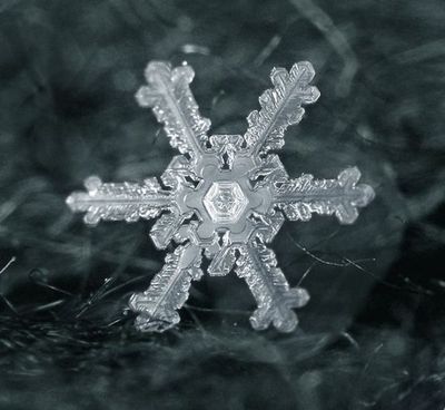 雪の結晶10