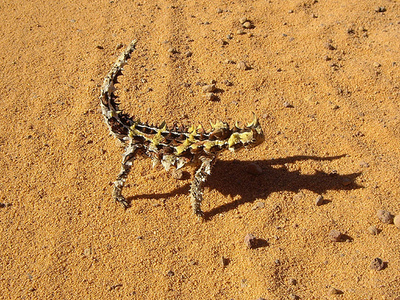 ������ȥ���10