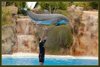 ǭ�����֡��������֡��ͤ���������Ӥޤ���ʲ���11