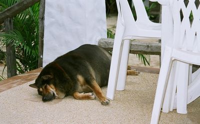 ���ꤹ���Υڥå�02