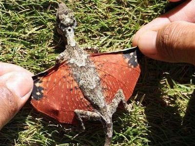 �ȥӥȥ���00