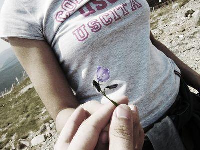 ����������ȶ������Ѥ򤹤륤���ꥹ�ͤ�����