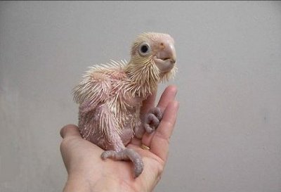 ���ޤ줿�ƤΥ�����13