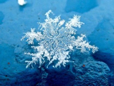 雪の結晶12