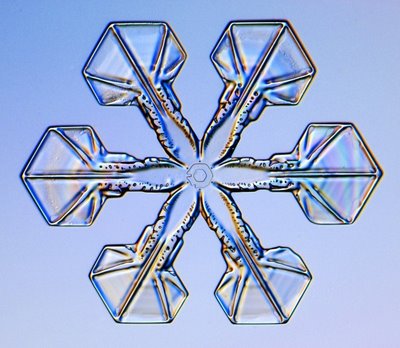 雪の結晶04