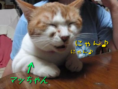 �����餷��ǭ
