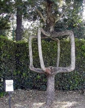 �����δ�̯����13