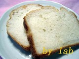 �饤�����ѥ�20090109