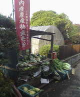 05f5a4c6.jpg