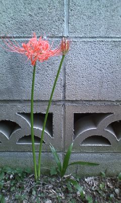 08c5e9e6.jpg