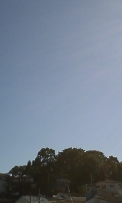 1a1d6233.jpg