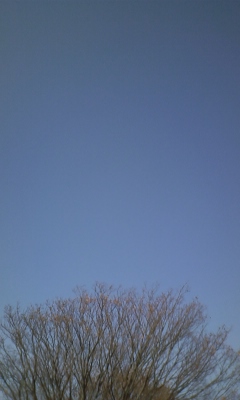 2e0d4758.jpg