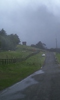 53c012e5.jpg