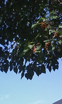 870ac7c7.jpg