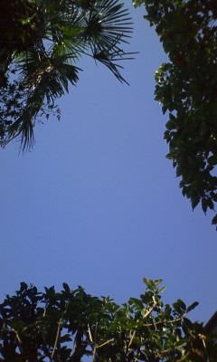 f2c9fc37.jpg
