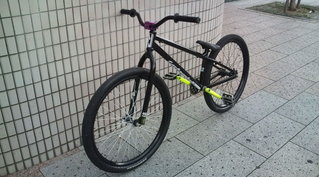trailking front