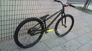 trailking rear