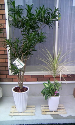 5c27f141.JPG