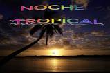 nochetropical