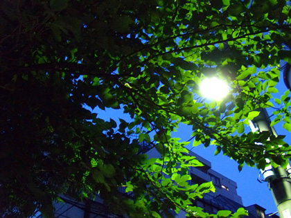 scenery_001_thumb