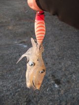 f09949fe.jpg