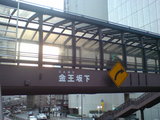 251437f3.jpg