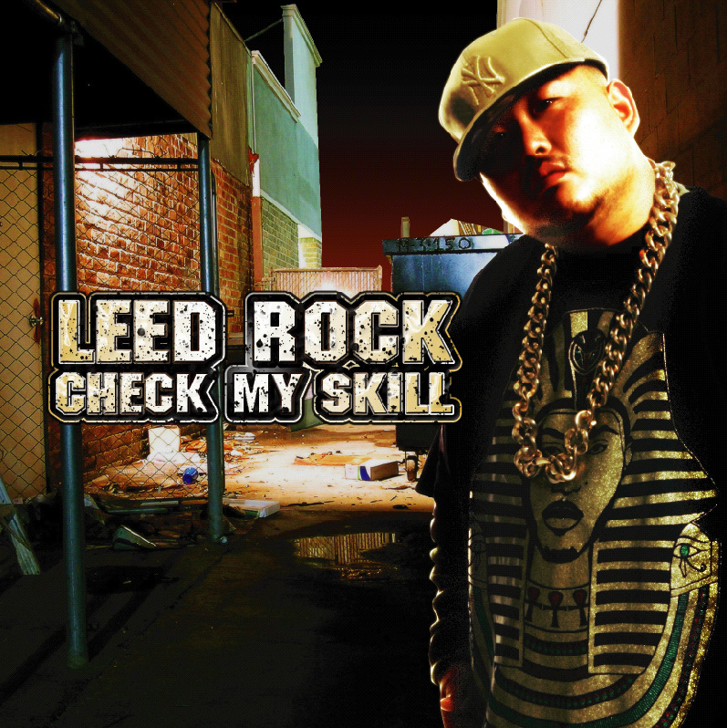 leedrock_check my skill