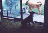 PICT0041