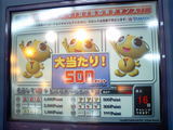 79f871e3.jpg