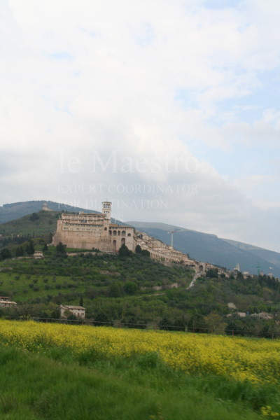 assisi