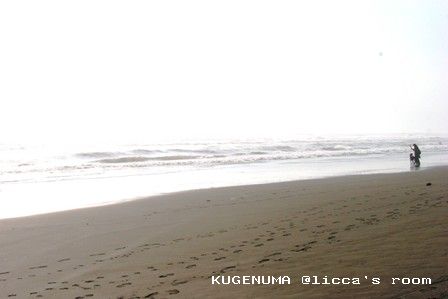 KUGENUMA�Ǣ�