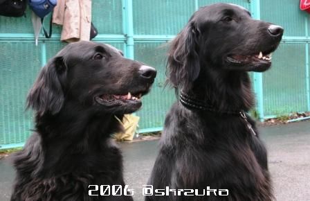 �ťޥޡ����ӣȡ�