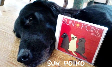 SUN POIKO