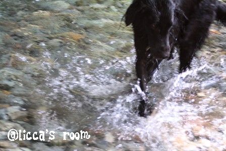 ���Ϥ��졡���ӣȭ�