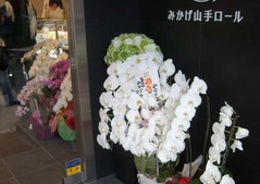 みかげ山手ロール3