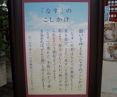 ���Ỷ������8