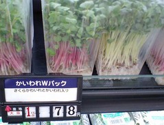 ¤«¤¤¤ï¤ìÂ纬8