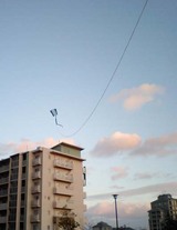 ���ʤ�������8
