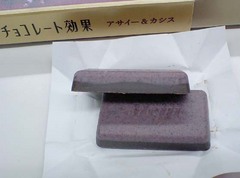 スカシカシパン8